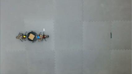 Collective transport robots