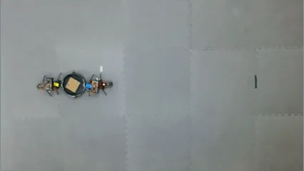 Collective transport robots