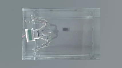Flagellated robot design