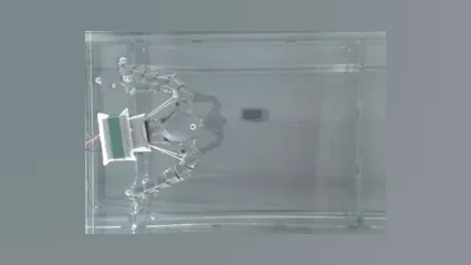 Flagellated robot design